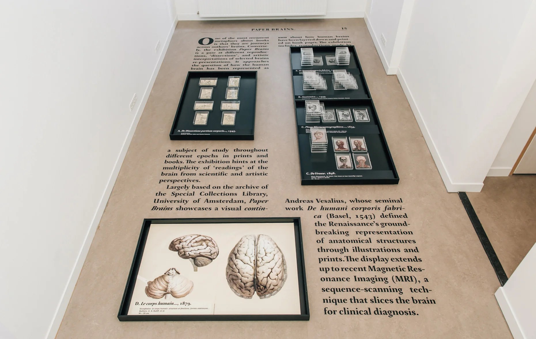 PAPER BRAINS exhibition detail