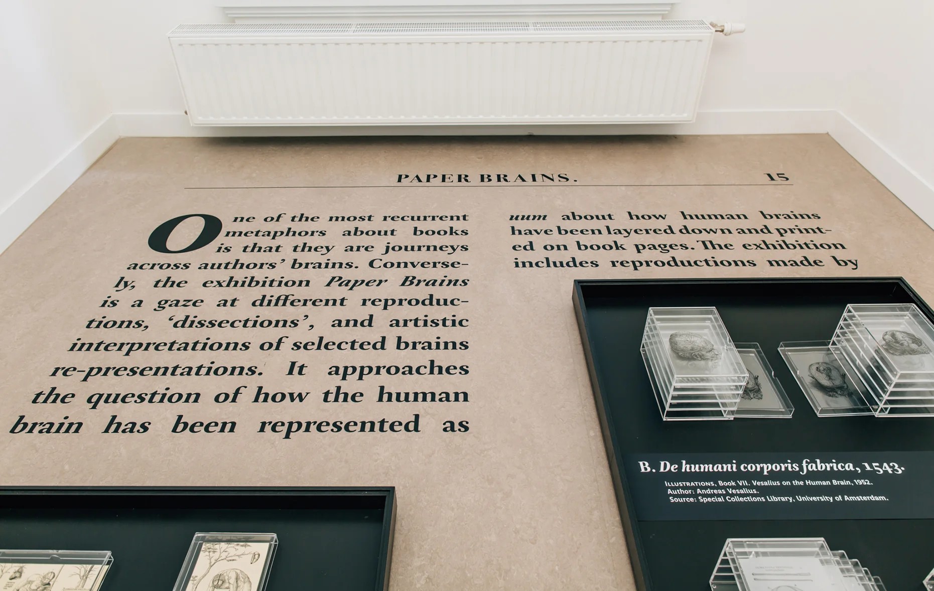 PAPER BRAINS exhibition view